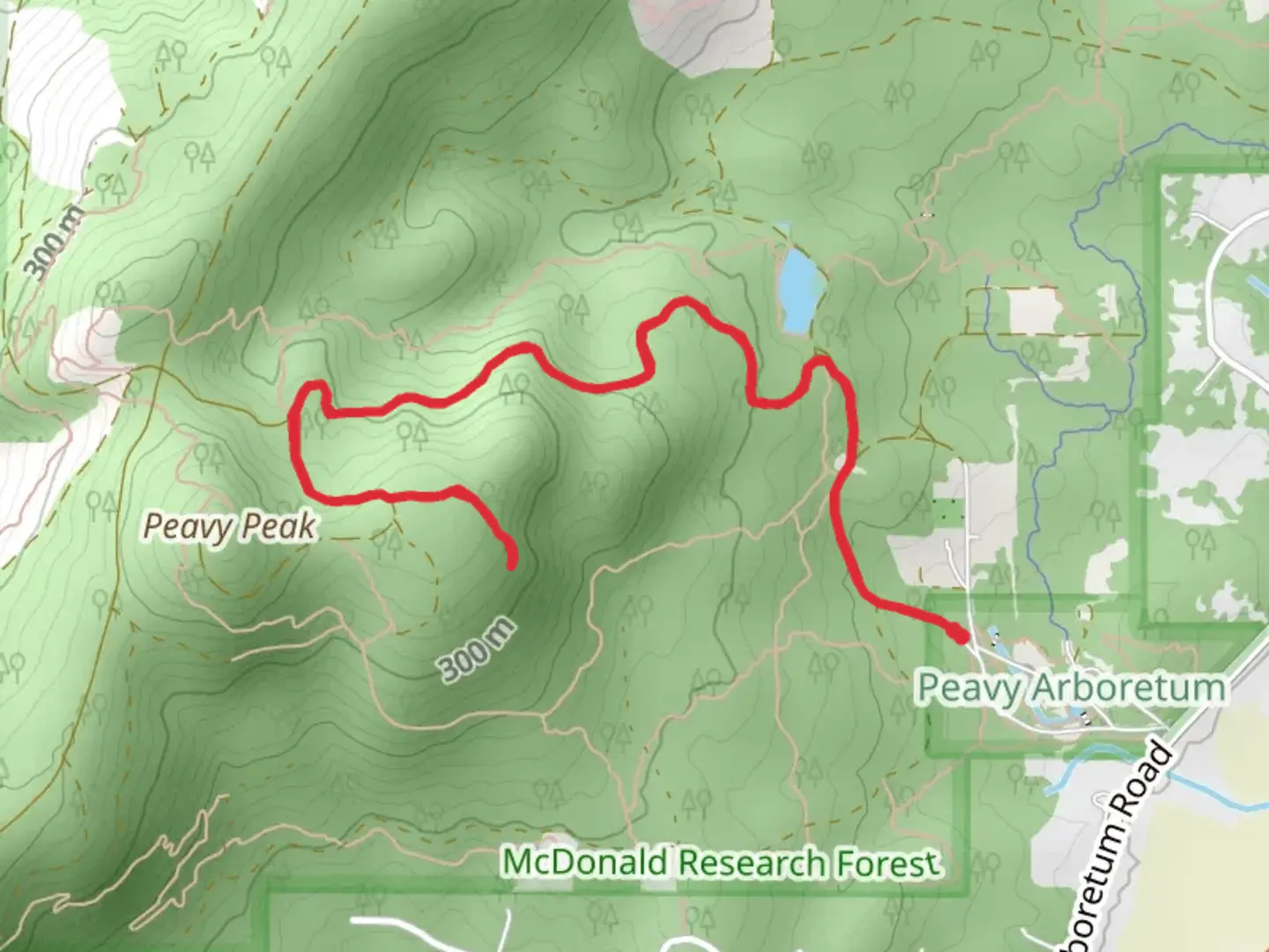 An image depicting the trail Peavy Arboretum Road and its surrounding area.