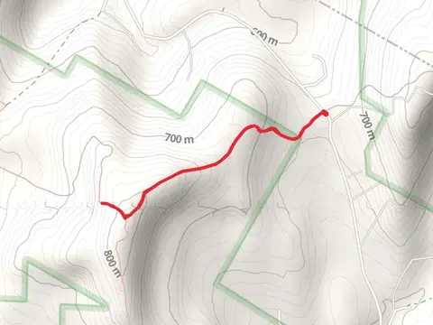 Berry Brook Road Out and Back