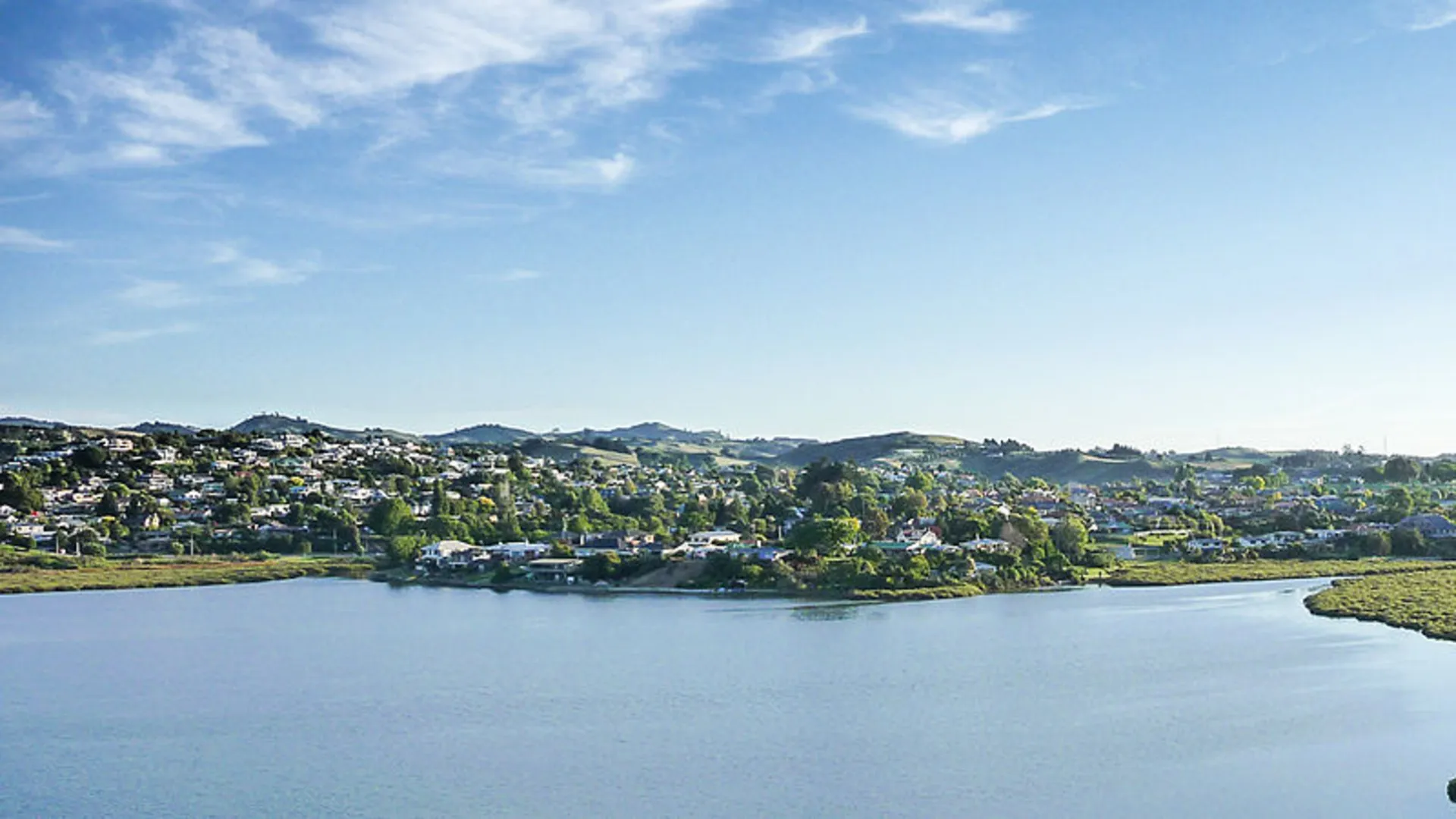 An image depicting the trail Johnson Reserve Loop and its surrounding area.