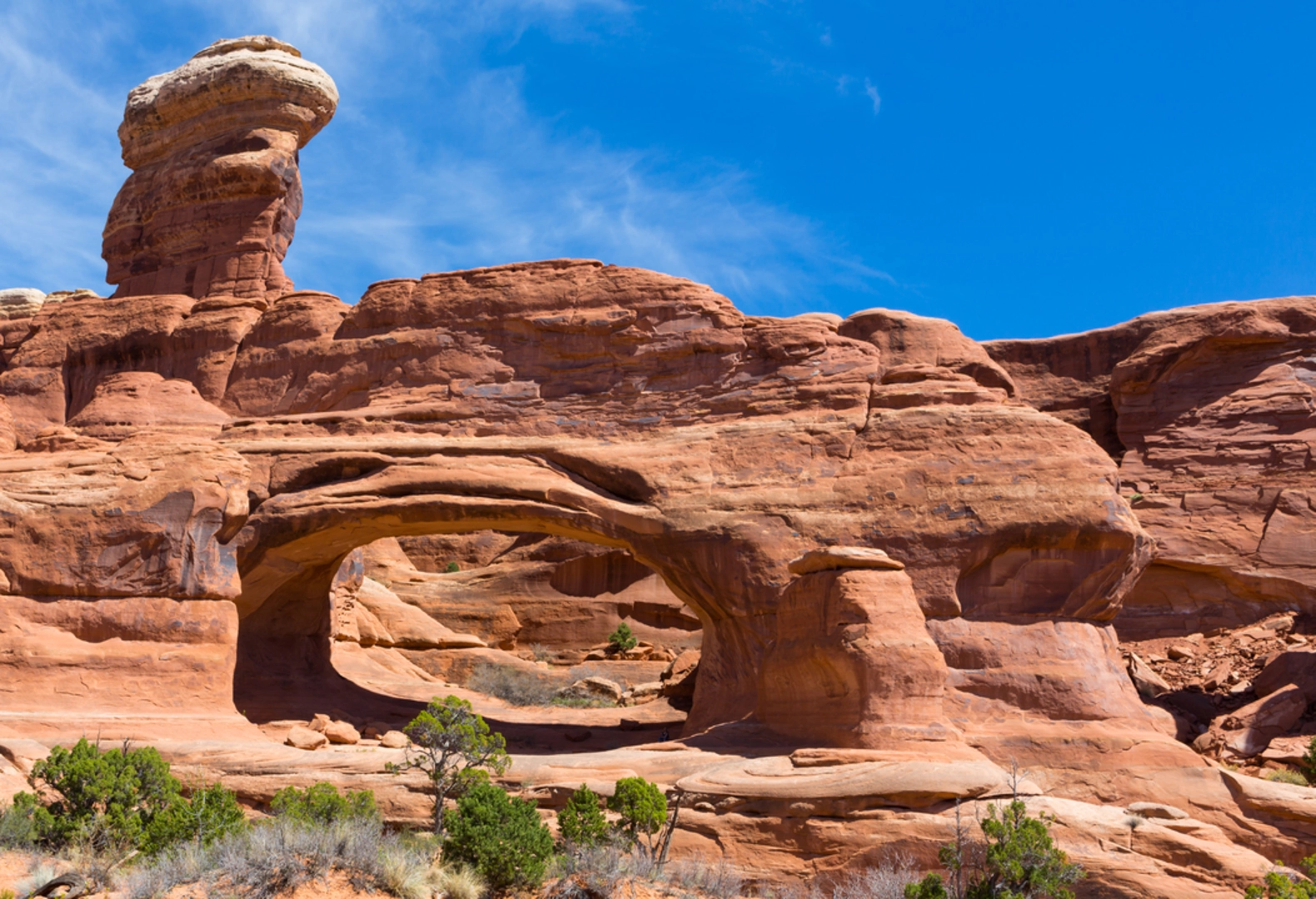 An image depicting the trail Tower Arch Trail and its surrounding area.