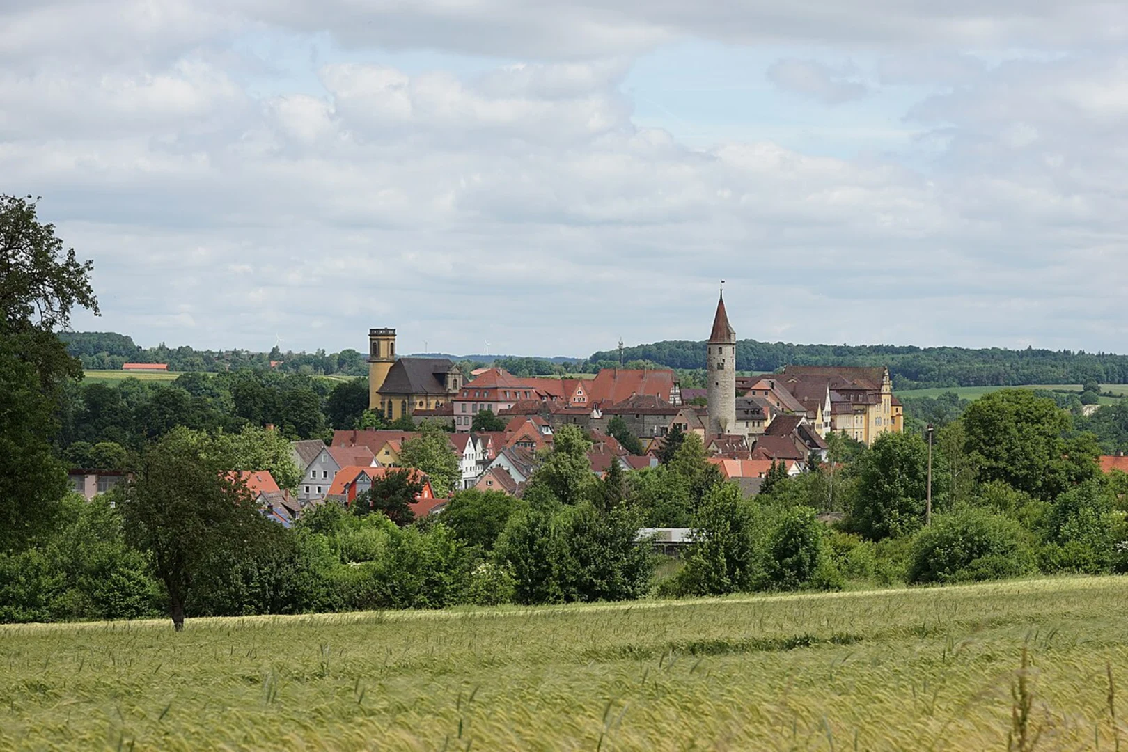 An image depicting the trail Wassertretstelle Wendelsberg via Bad Peterstal Breitenberg and Renchtalweg and its surrounding area.