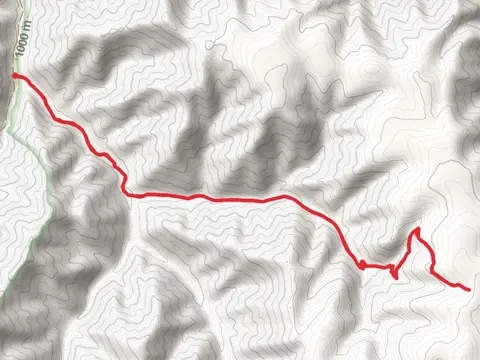 Panjab Trail