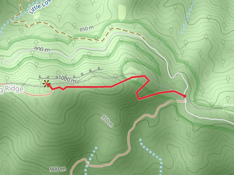 Little Lost Cove Cliffs Trail
