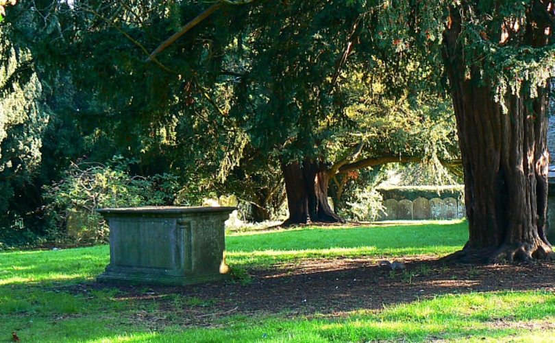 Lawns Park from Westmead