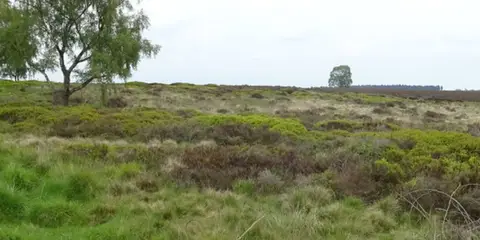 Sherbrook - Stepping Stones and Freda's Memorial