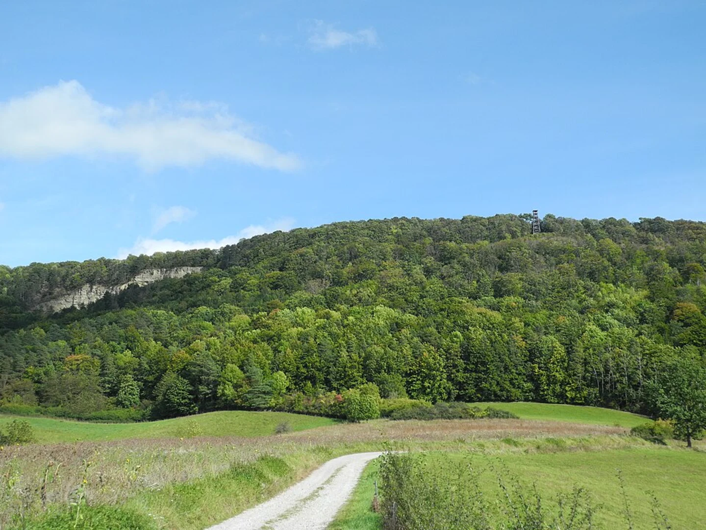 An image depicting the trail Wasserfall Elfengrund and Plesseturm Loop via HW 24 Dietemannpfad and its surrounding area.