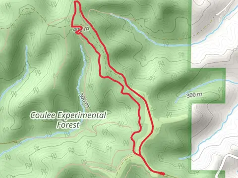 Coulee Experimental Forest Loop - East