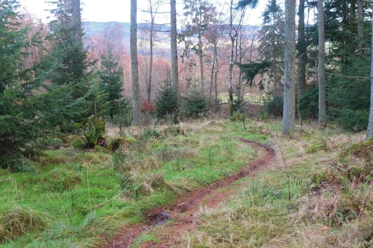 Tantah's Loop Trail