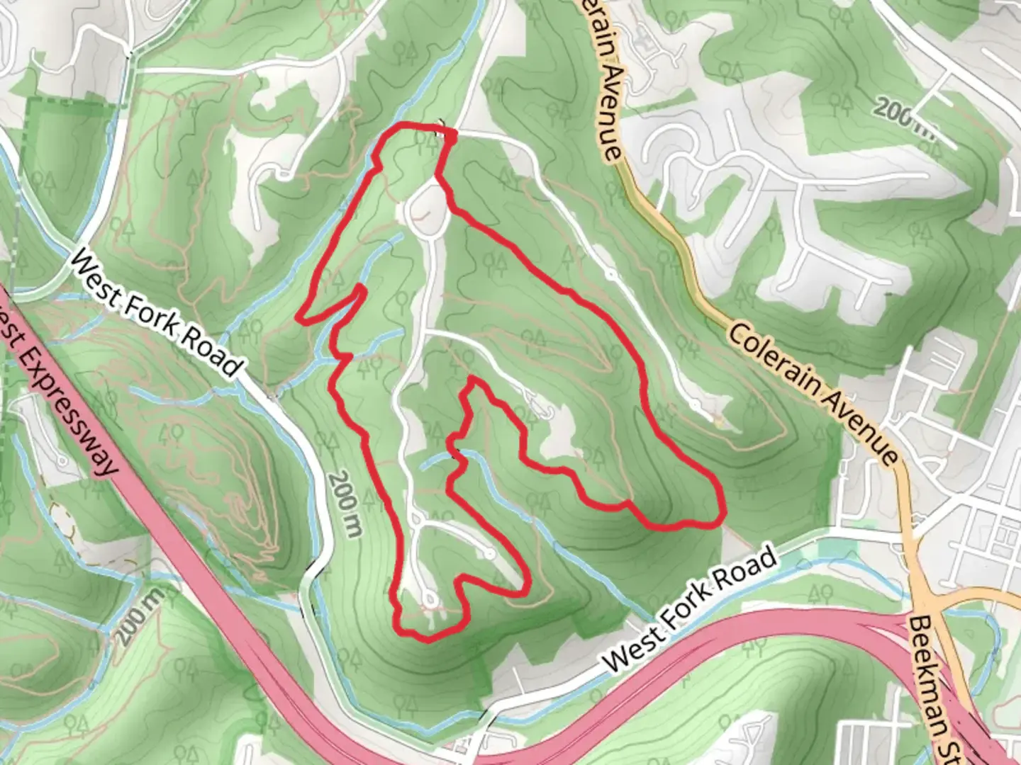 An image depicting the trail Beechwood and Red Oak Loop Trail and its surrounding area.