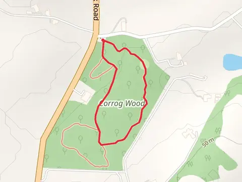 Corrog Wood Loop