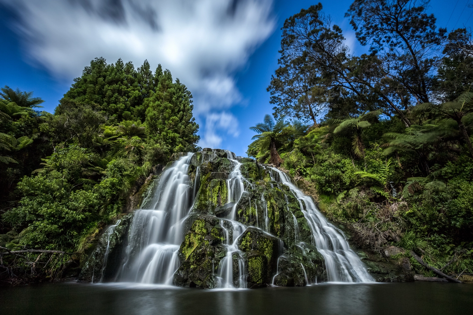 An image depicting the trail Karangahake George Loop and its surrounding area.