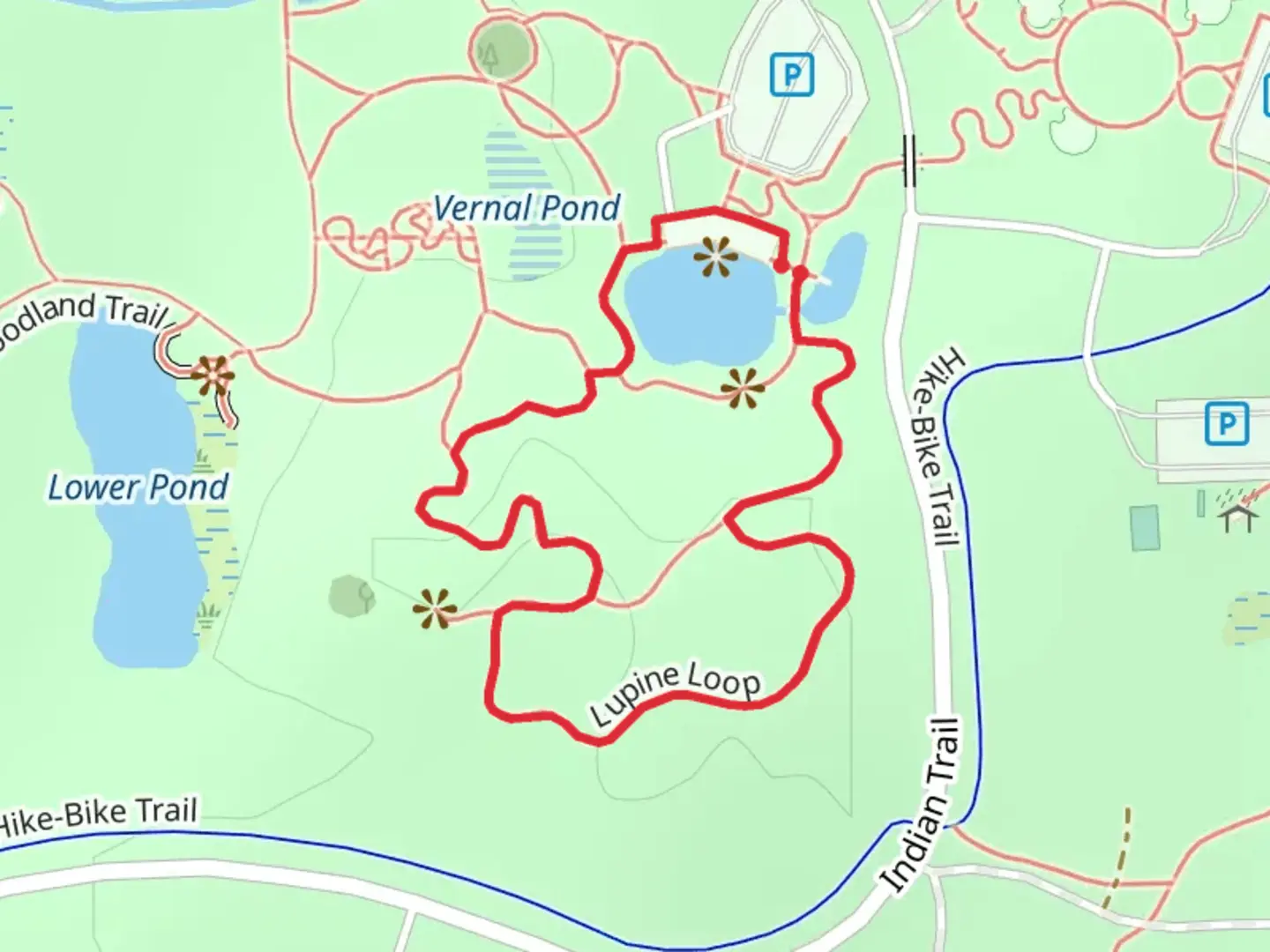 An image depicting the trail Discovery Pond and Turkeyfoot Loop Trail and its surrounding area.