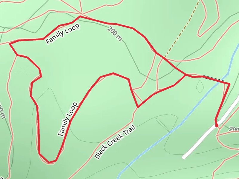 Family Loop