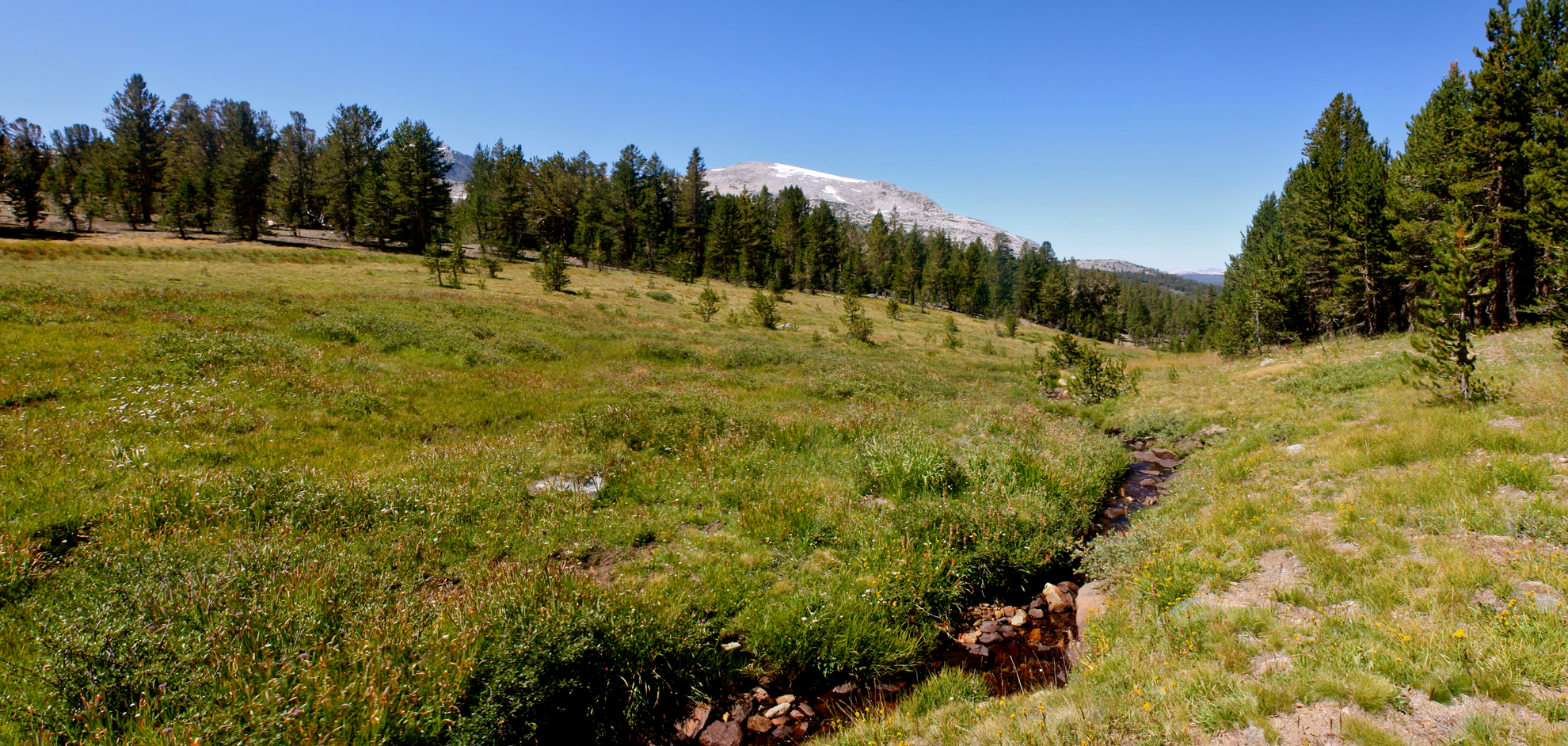 An image depicting the trail Mono Meadow and Illilouette Creek and its surrounding area.