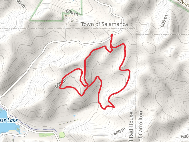 Snowsnake Run and Patterson Trail Loop