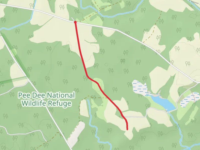 Big Oak Road Walk