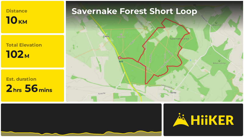 Savernake Forest Short Loop | Wiltshire | England