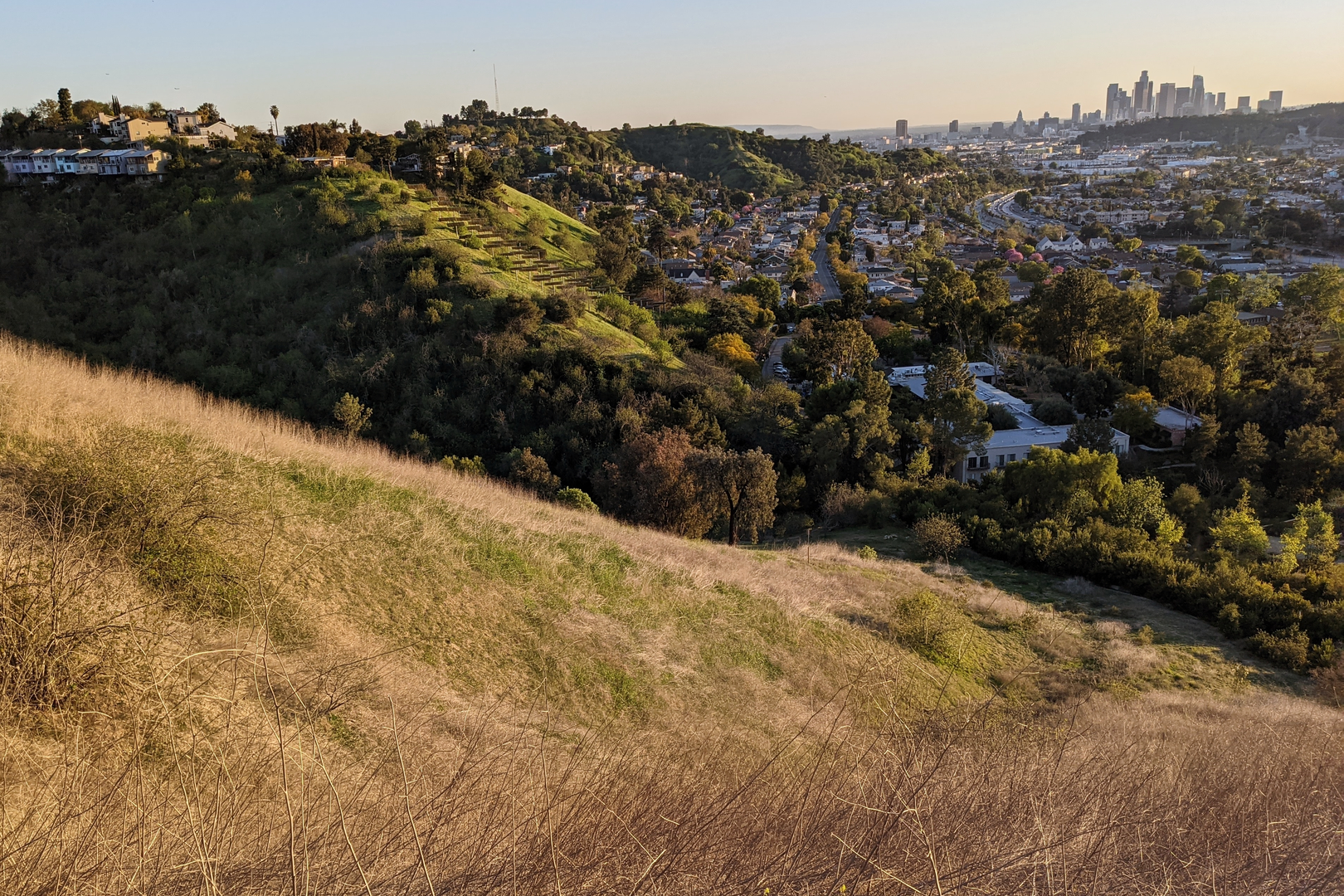 An image depicting the trail Terrill Avenue and its surrounding area.