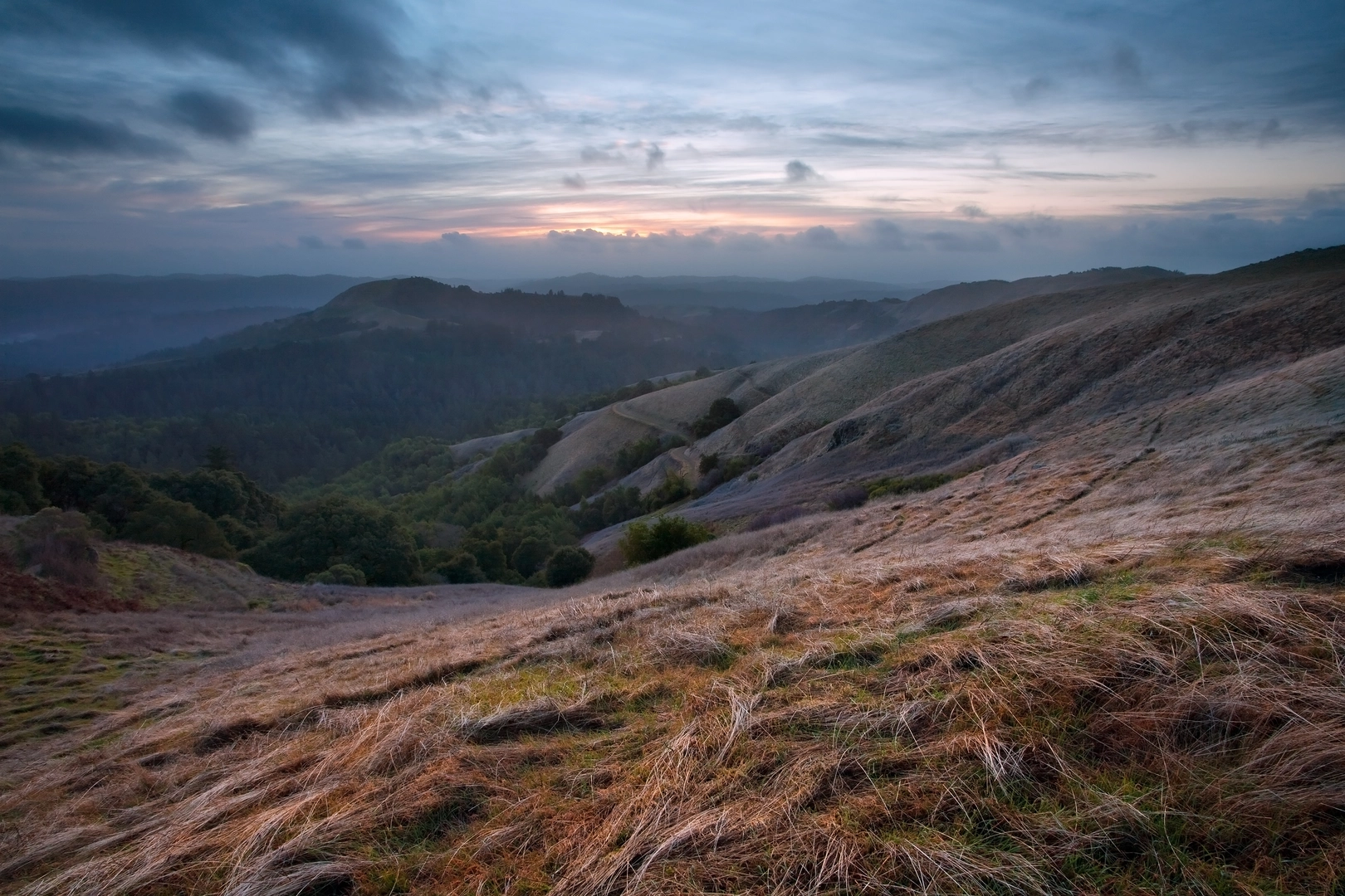 An image depicting the trail Mindego Hill Trail and its surrounding area.