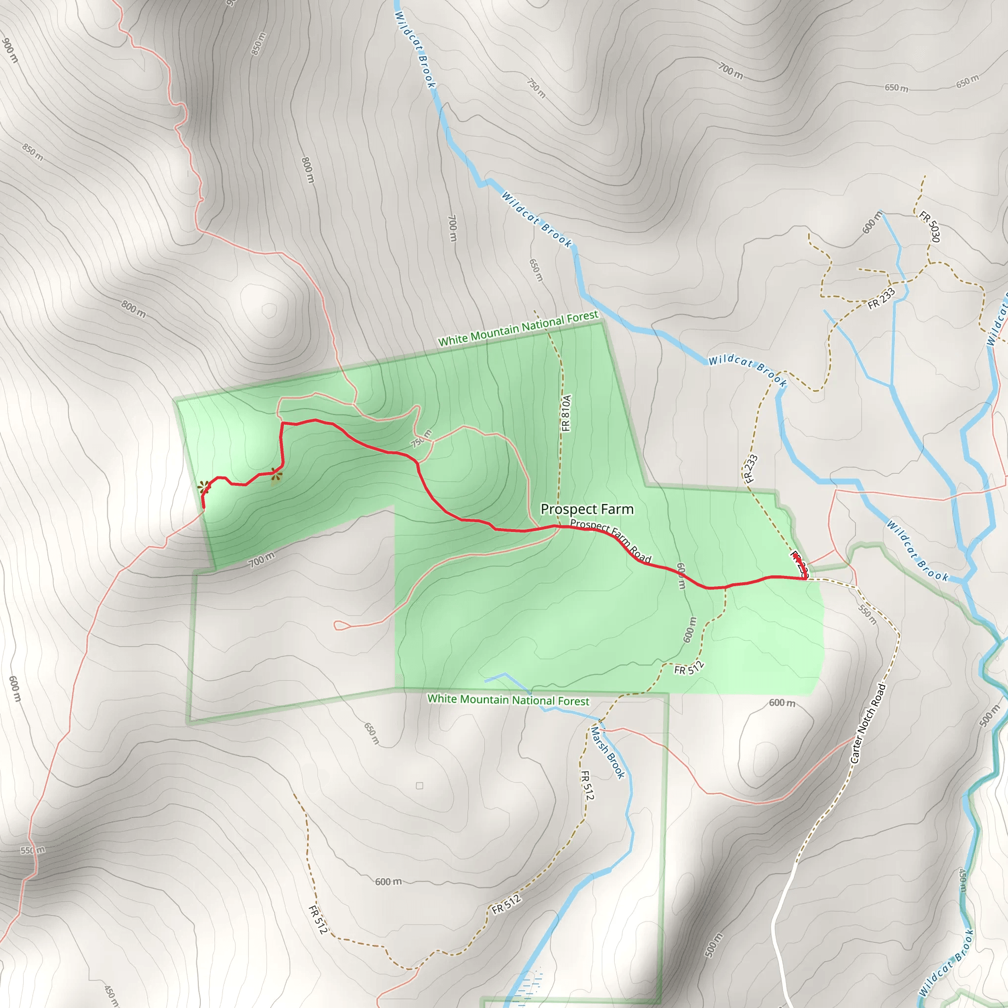 Wildcat Valley Trail - 46 mobile static map