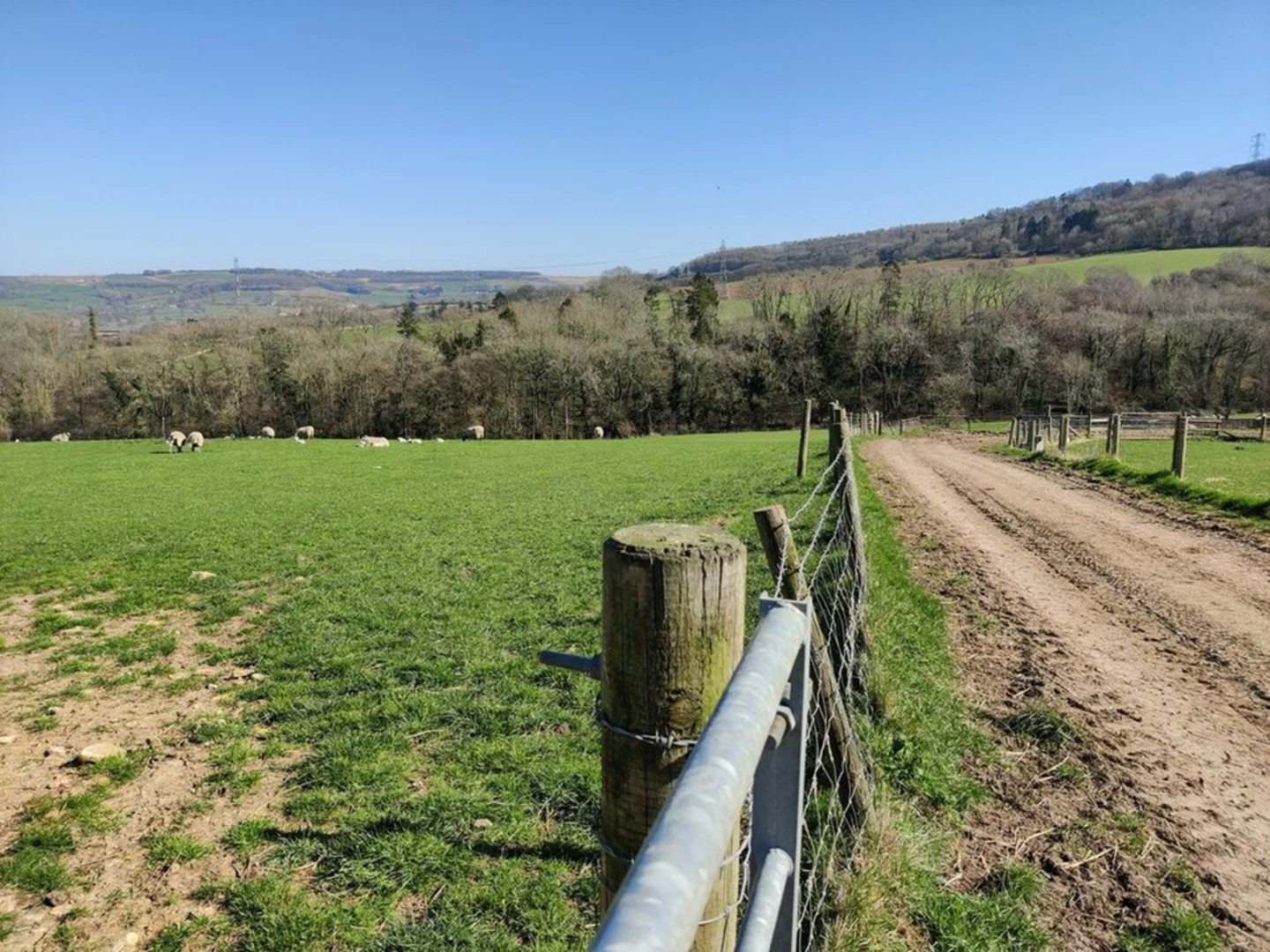 An image depicting the trail Breakheart Plantation and Watery Bottom and its surrounding area.