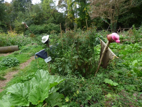 Chamberlain Gardens Loop