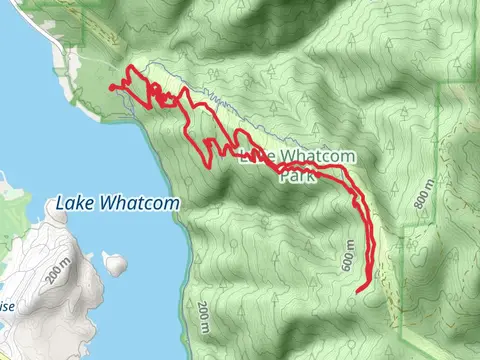 Chanterelle Trail Upper Loop