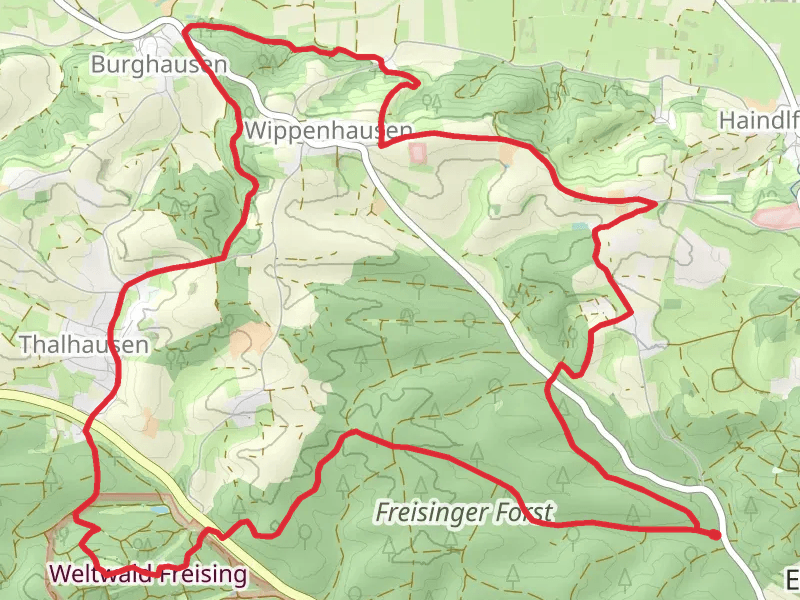 Freisinger Forst and Weltwald Freising Loop