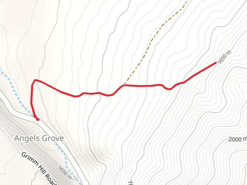 The Tooele T Walk