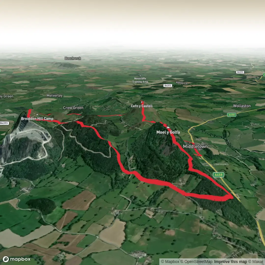 An image depicting the trail Moel y Golfa, Rodney's pillar, Brimford Wood and Middletown Hill Loop and its surrounding area.