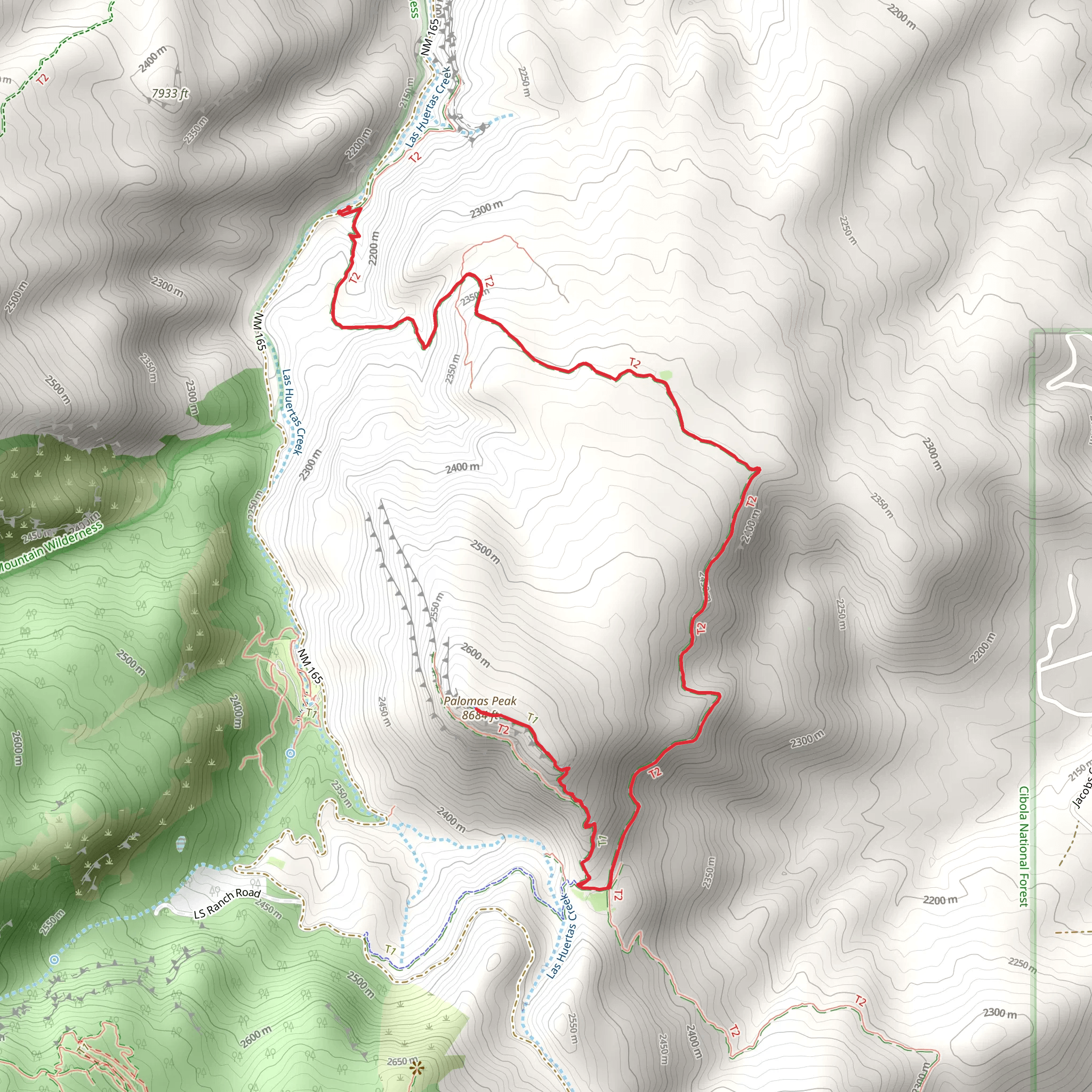Palomas Peak via North Mystery Trail mobile static map
