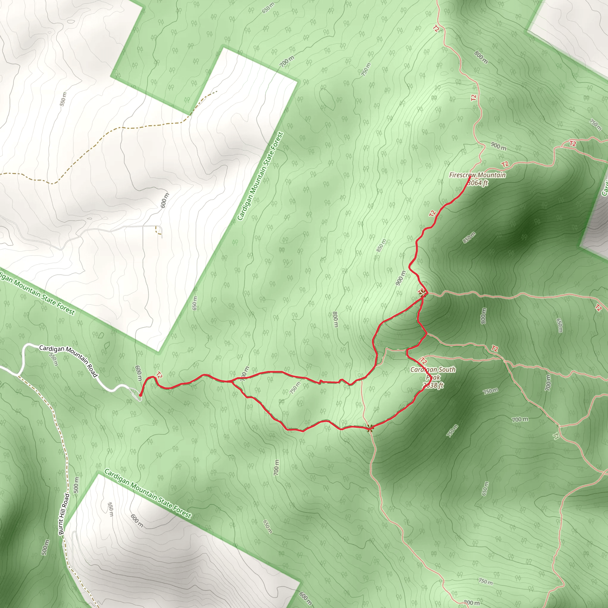 Firescrew Mountain and Cardigan Peaks Loop Trail mobile static map