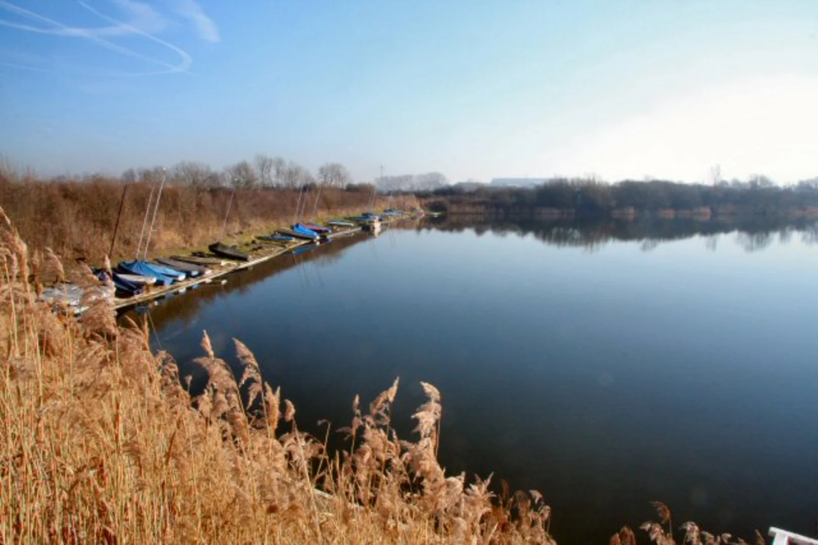 An image depicting the trail Ely Country Park Loop and its surrounding area.