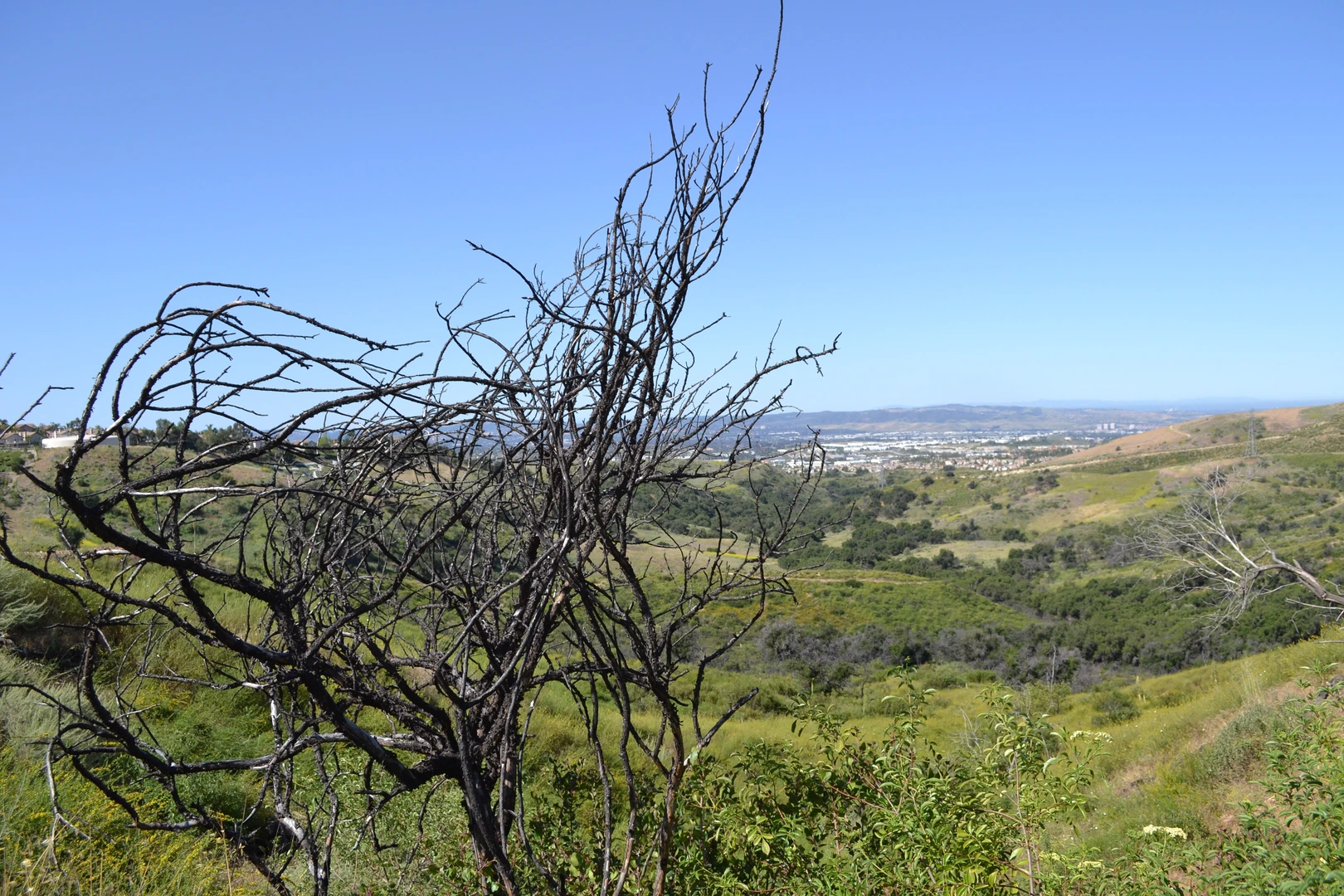 An image depicting the trail Line Shack and Raptor Loop and its surrounding area.