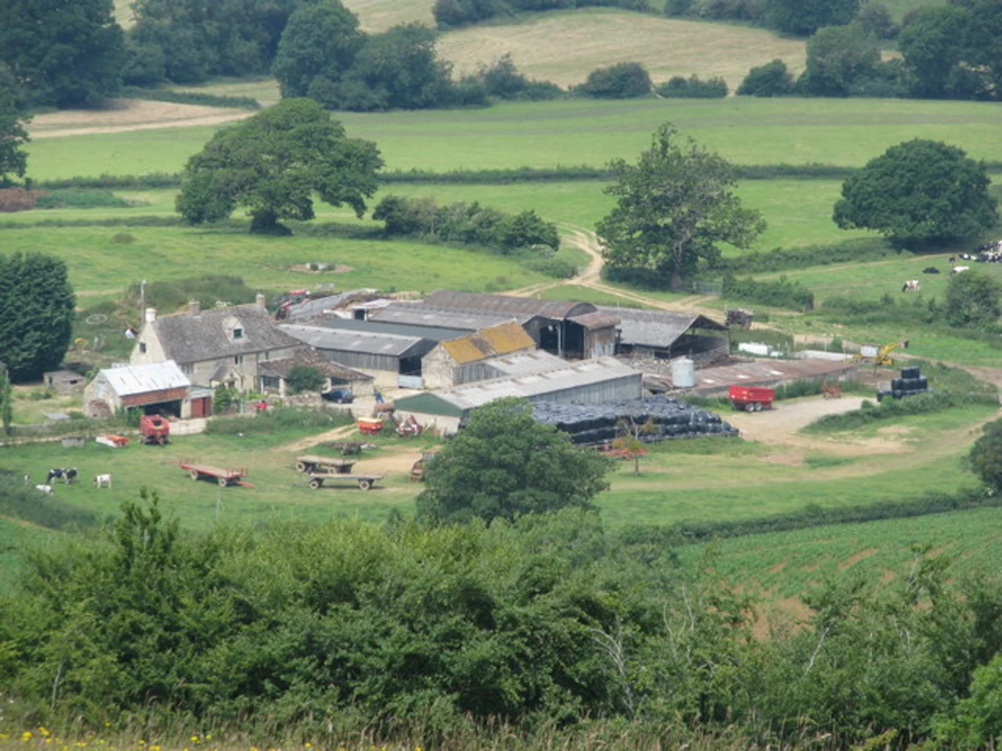An image depicting the trail ACW Circular Walk 17 and its surrounding area.