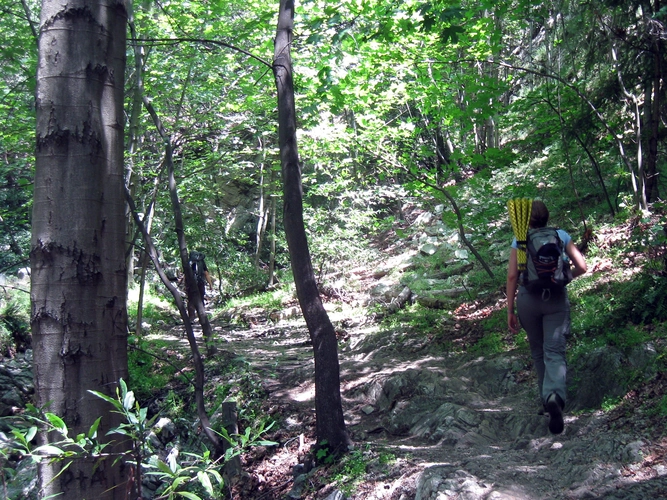 Gabrielino and Sturtevant Trail