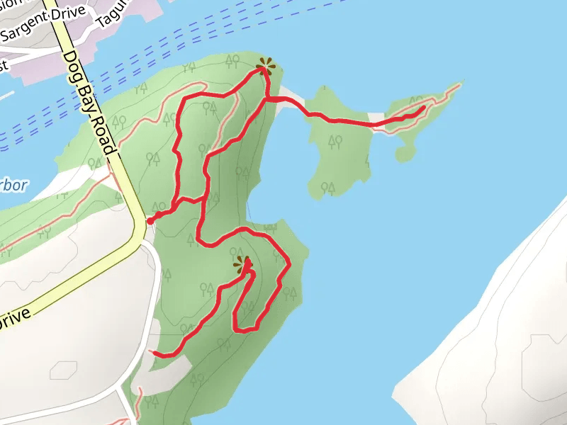 Dog Bay Loop