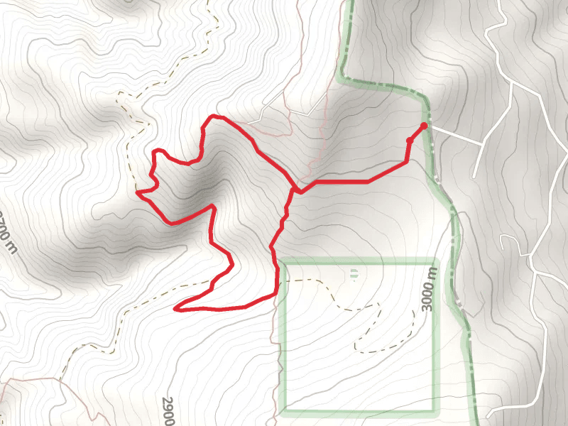 Carson National Forest Loop