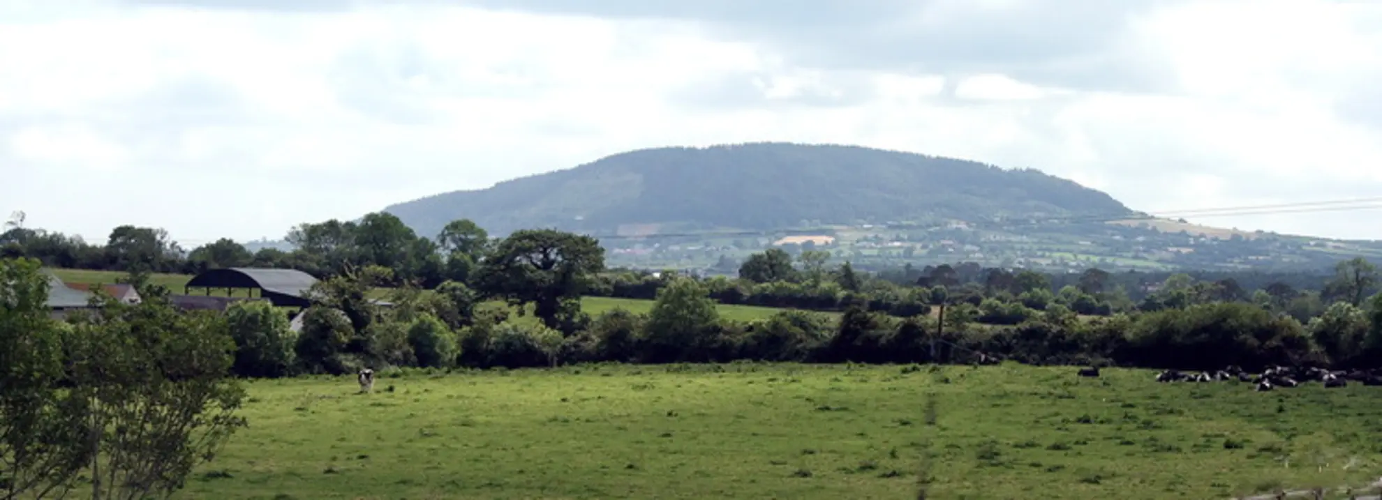 An image depicting the trail Tara Hill - Slí na n-Óg and its surrounding area.