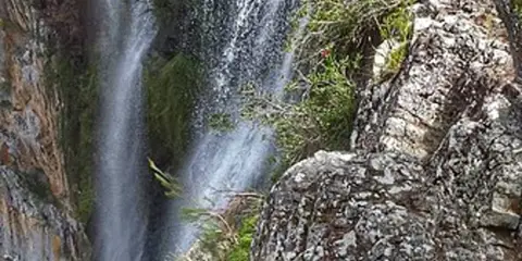 Boggy Creek Walk