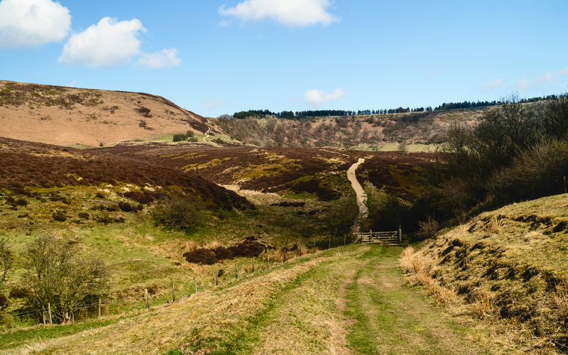Fox and Rabbit - Stain Dale - Bridestones - Hole of Horcum - Levisham Moor and Cross Dale