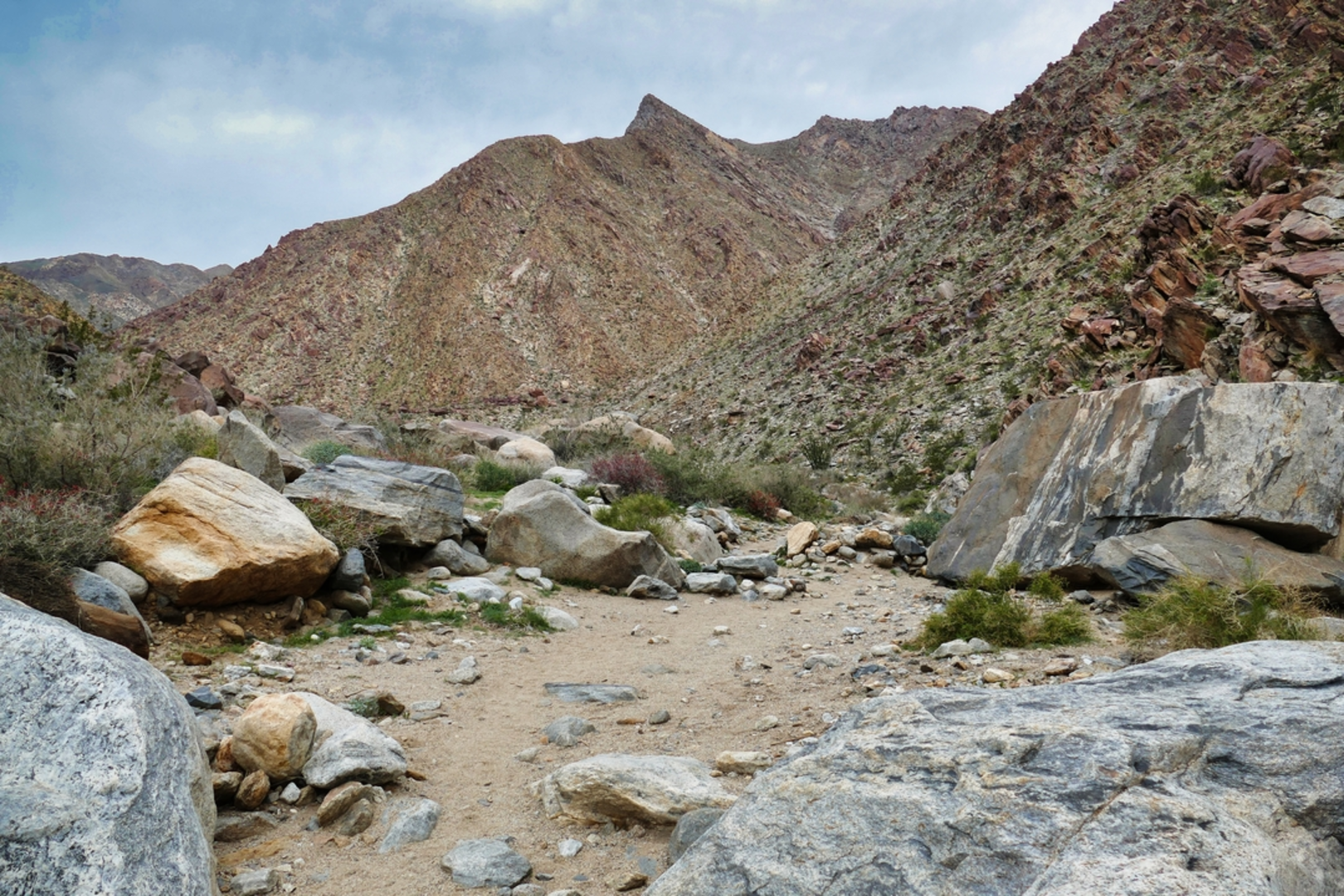 An image depicting the trail San Ysidro Trail and its surrounding area.