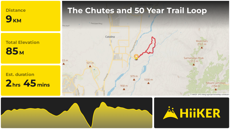 The Chutes and 50 Year Trail Loop | Pima County | Arizona