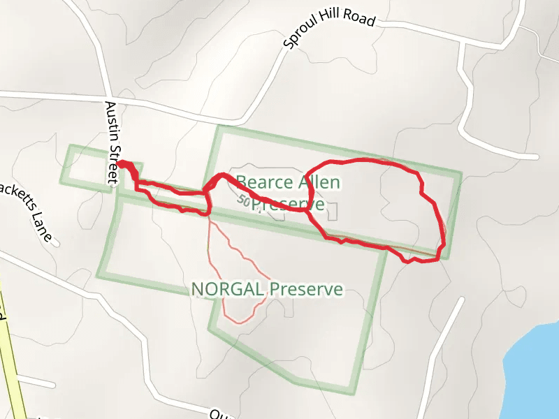 Austin Street Loop