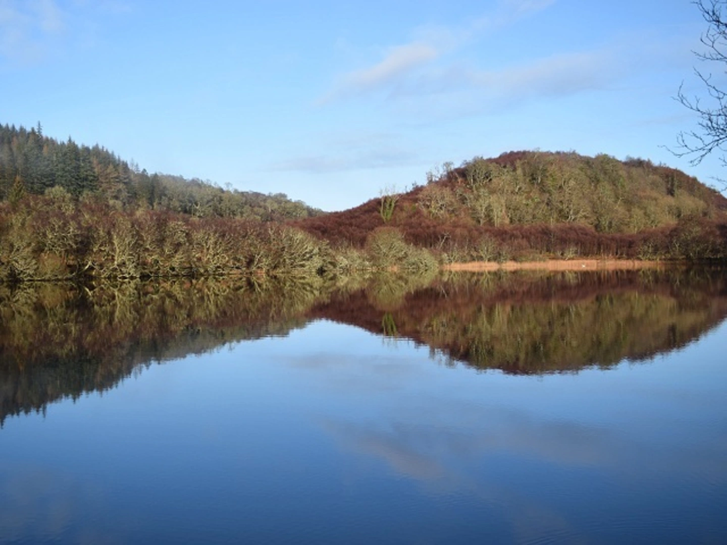 An image depicting the trail Barnluasgan Oakwood Trail via Loch Barnluasgan and its surrounding area.