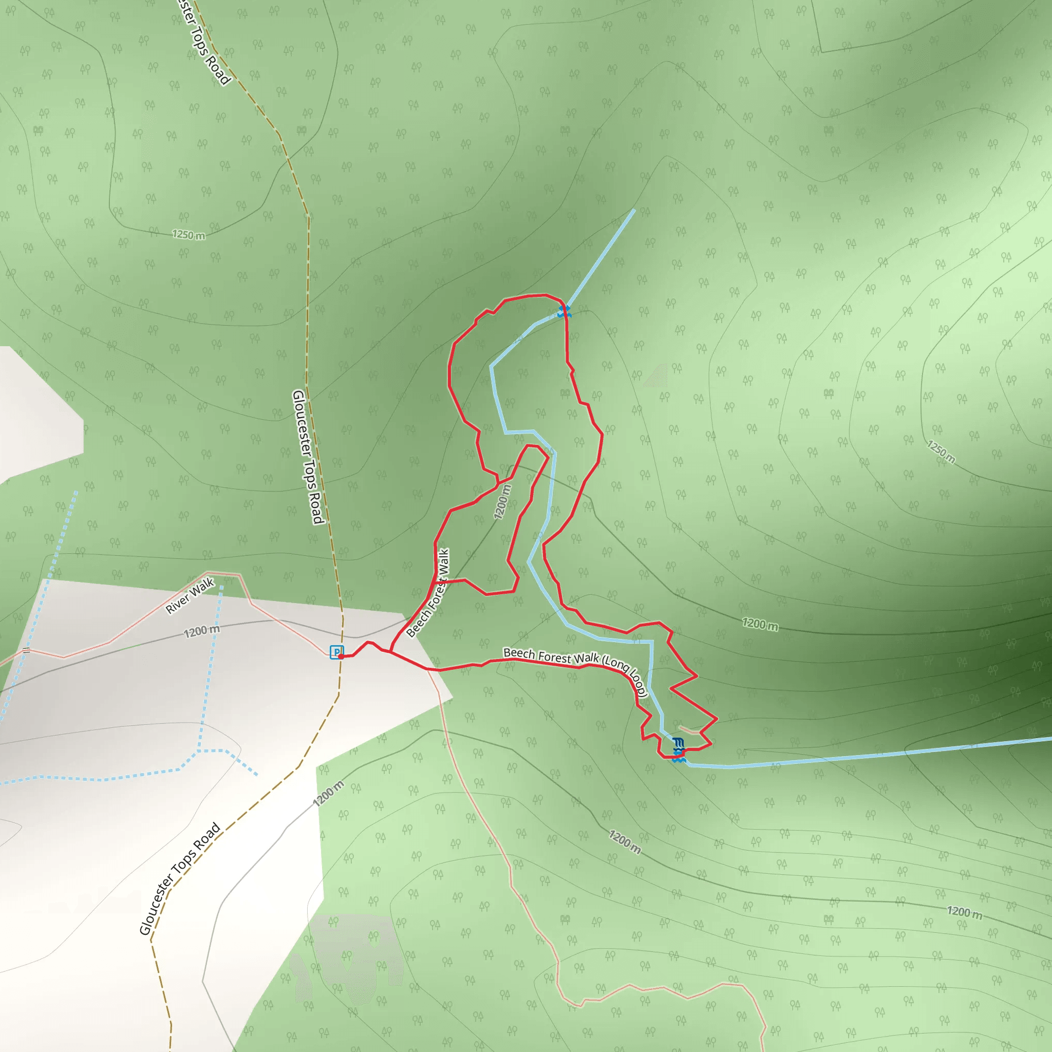 Antarctic Beech Forest Track mobile static map