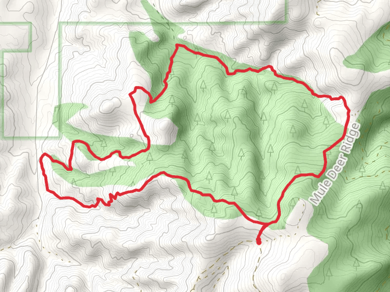 Hammer Creek Loop Trail