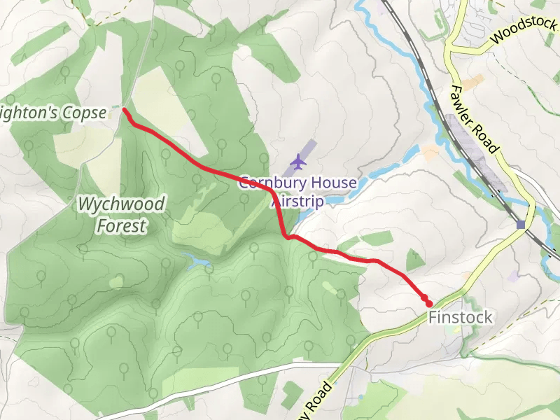 Wychwood Forest Walk