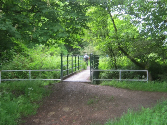 Raisby Hill Grassland Nature Reserve, East Hetton Woods and Quarrington Hill Loop