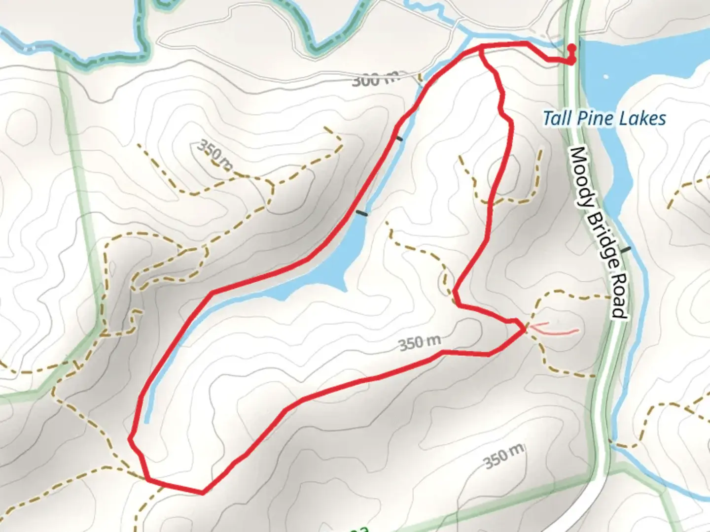 An image depicting the trail Tall Pine Lakes Overlook Loop and its surrounding area.